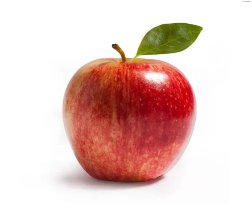 apple-500x500