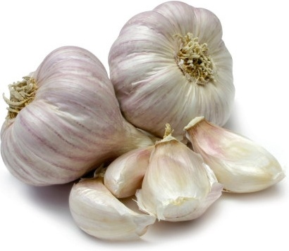 garlic_hd_picture_2_167266